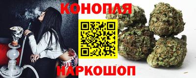 скорость Кингисепп