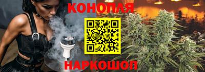скорость Кингисепп